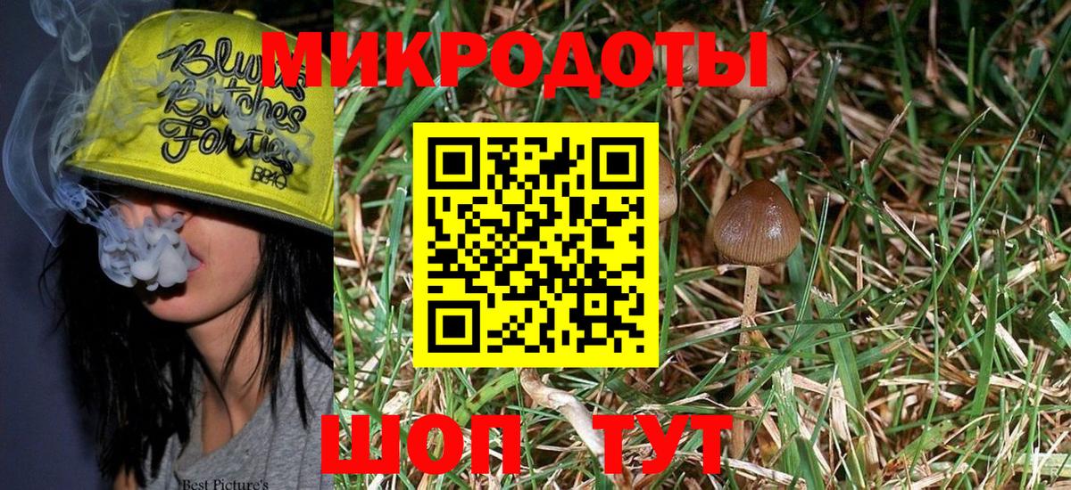 Галлюциногенные грибы MAGIC MUSHROOMS Артём