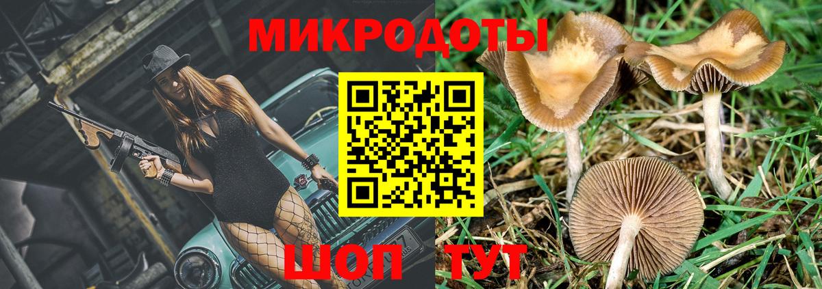 Псилоцибиновые грибы Cubensis  продажа наркотиков  Артём  Вход с VPN  Галлюциногенные грибы MAGIC MUSHROOMS 